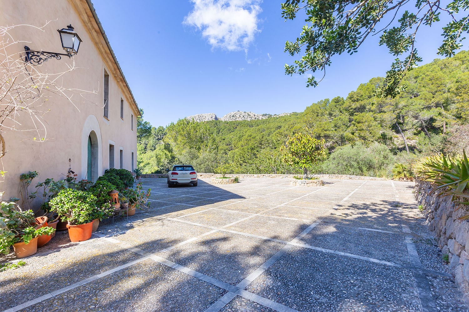 25945-finca-kauf-andratx-mallorca-r