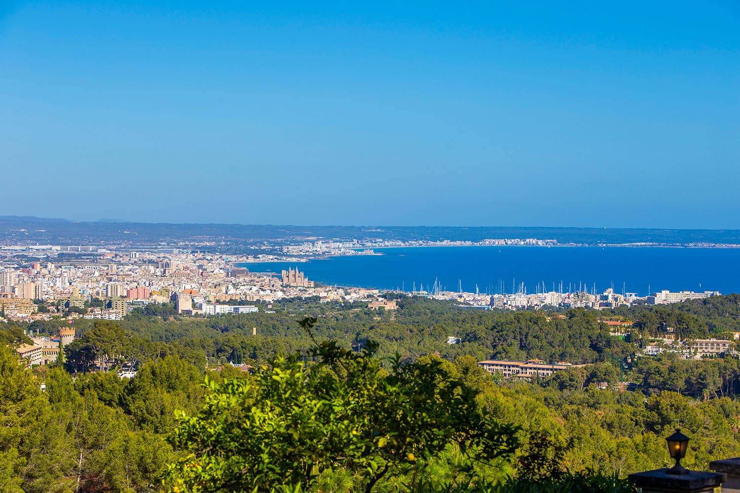 25990-bauland-son-vida-palma-a