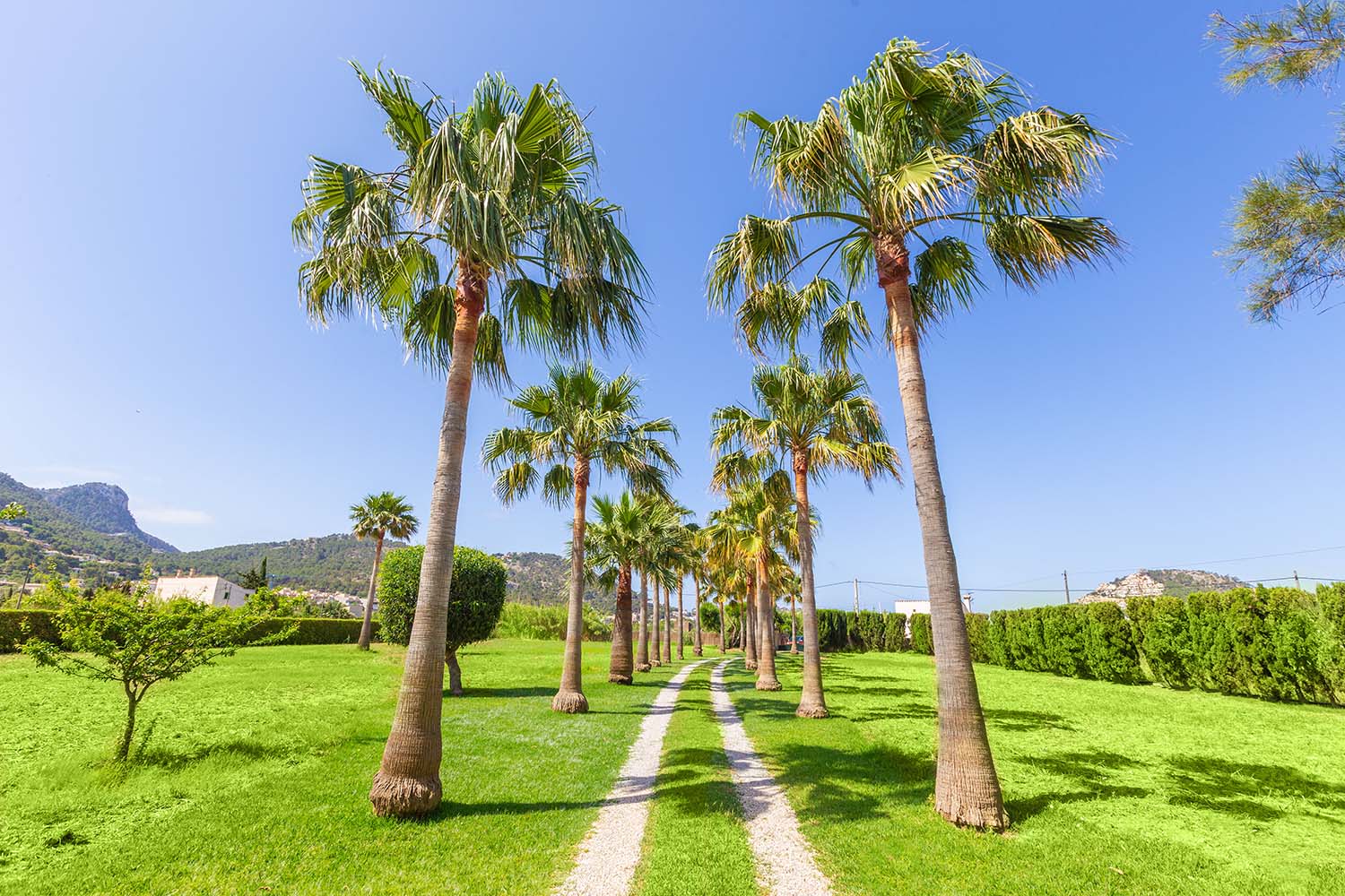 20329-finca-port-andratx-r