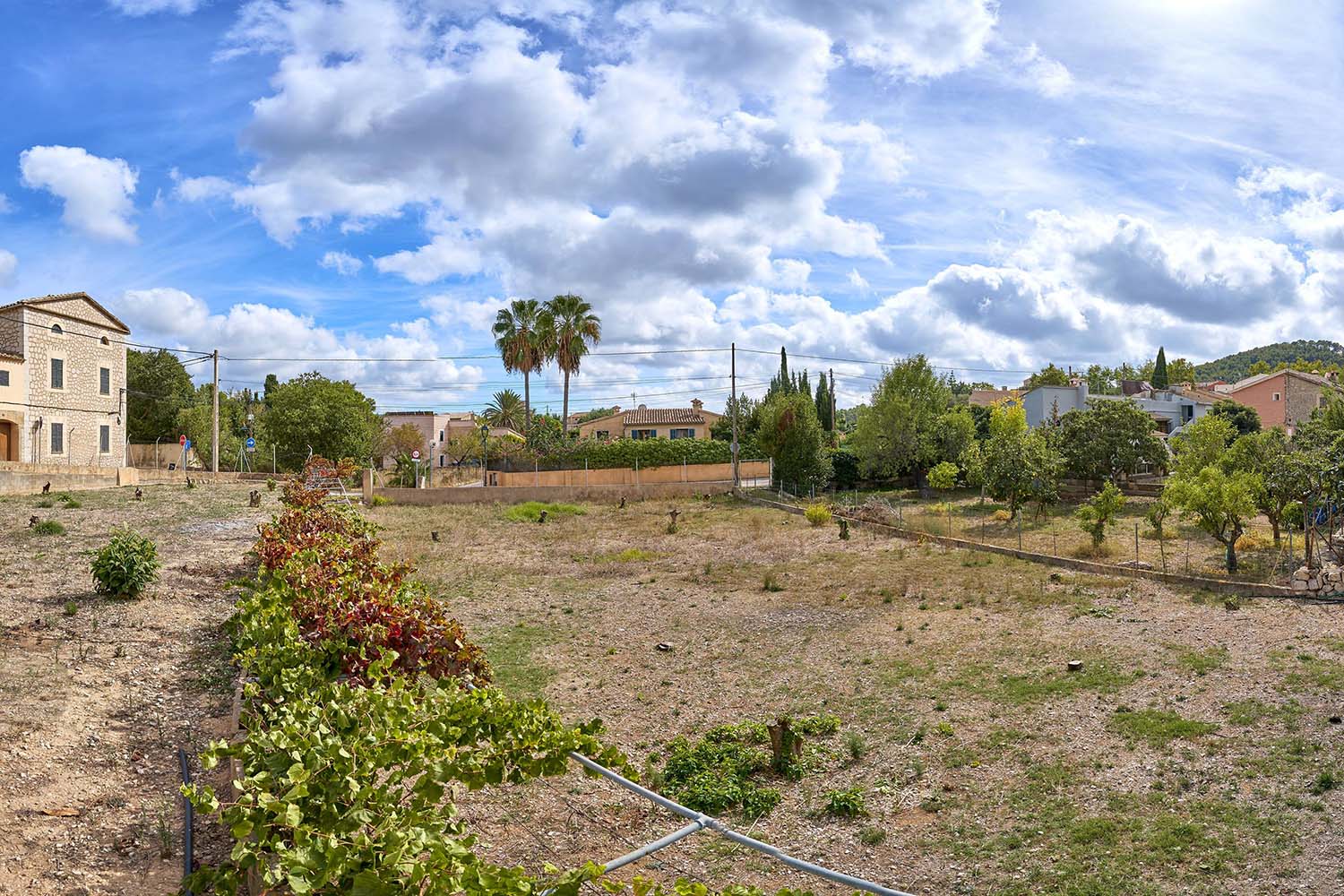 26008-plot-es-capdella-a