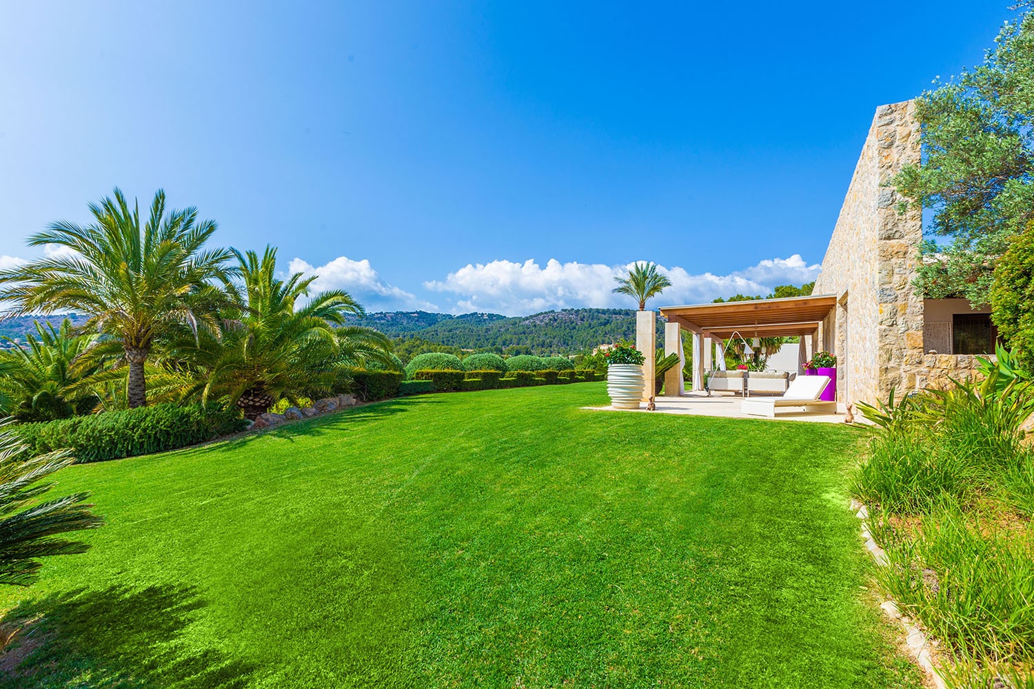 20762-finca-anwesen-kauf-calvia-w.jpg