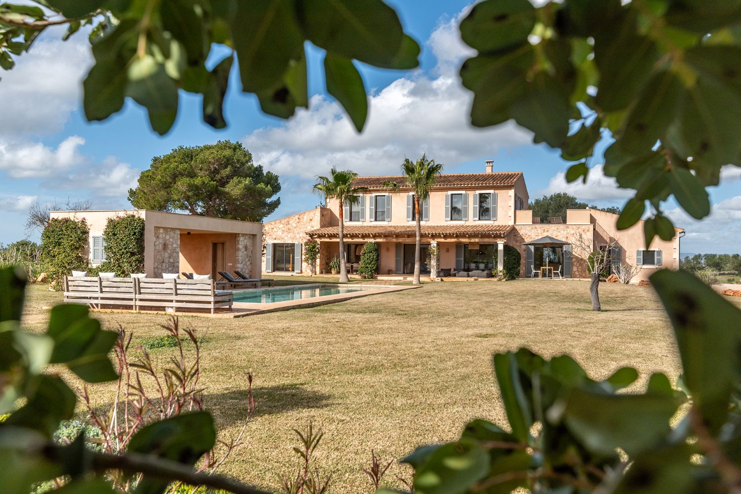 View from the garden