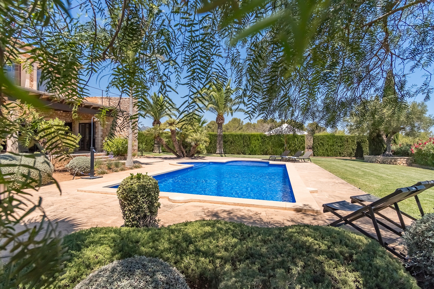 Pool with sun terrace