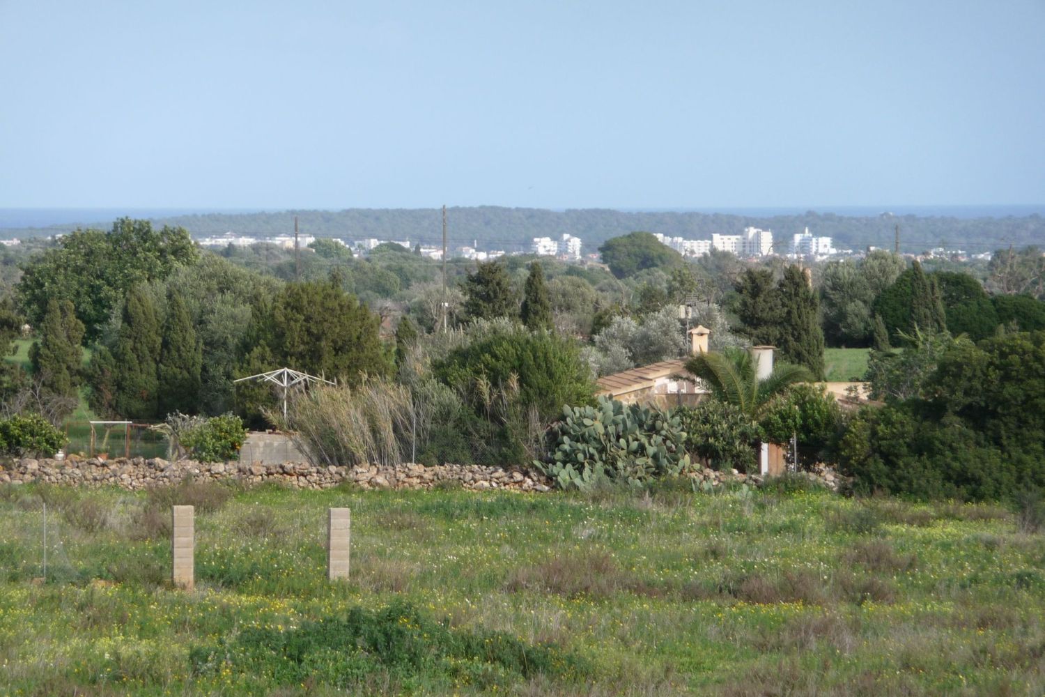 Building plot