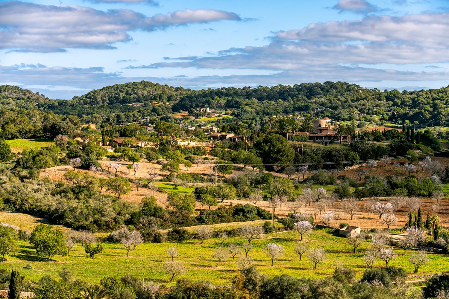 Landscape