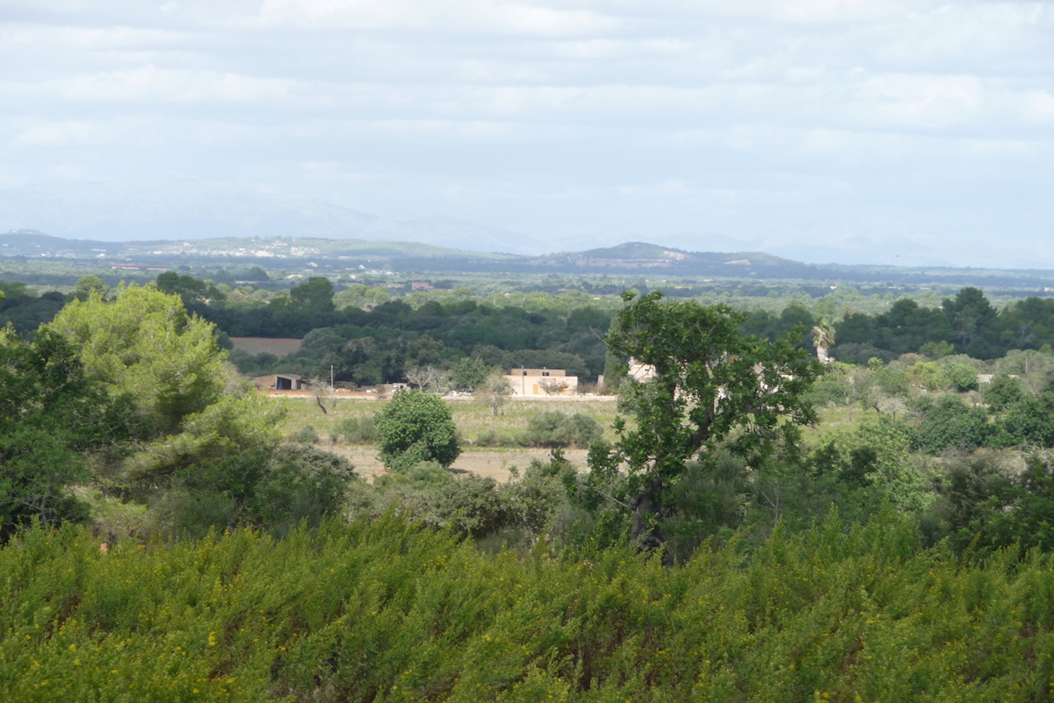 Far-reaching views