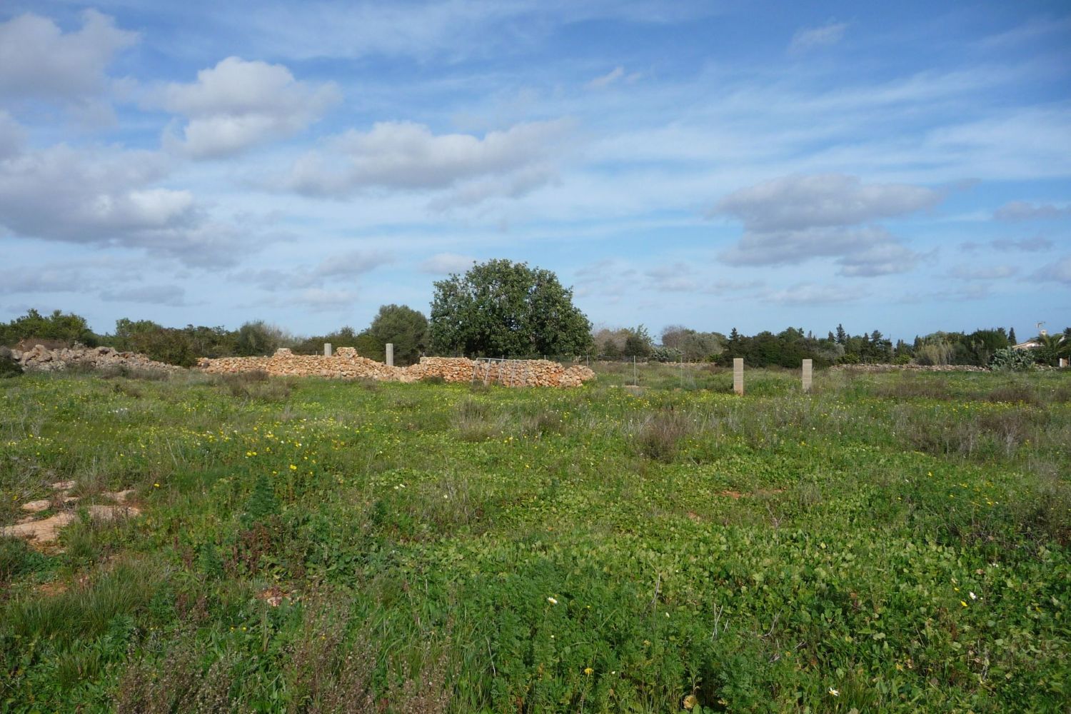 Plot