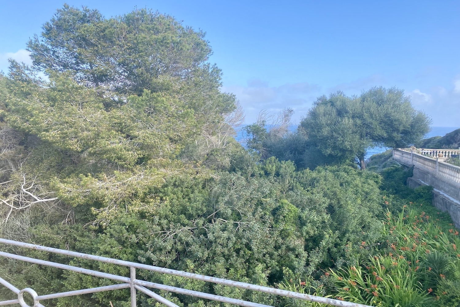 Sea view