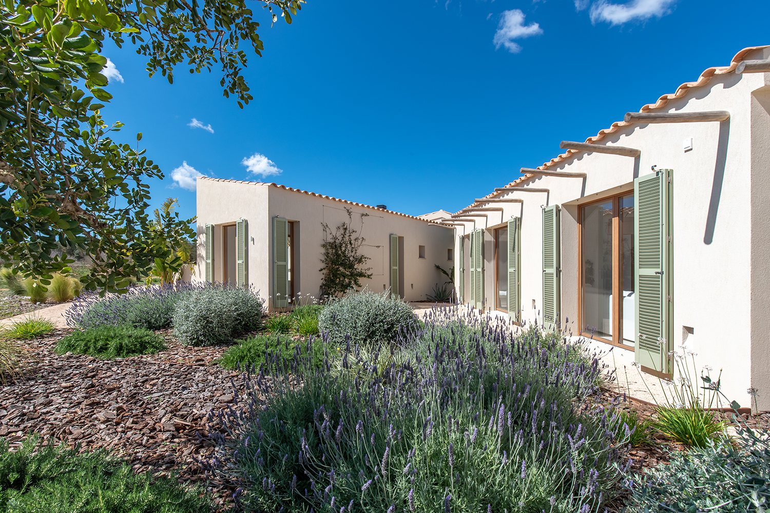 Mediterranean garden