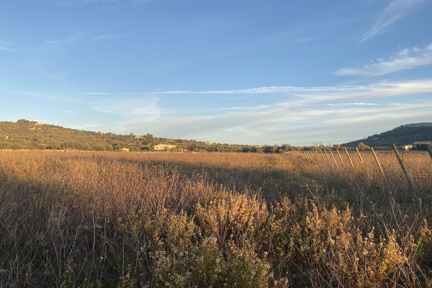 Panorama views
