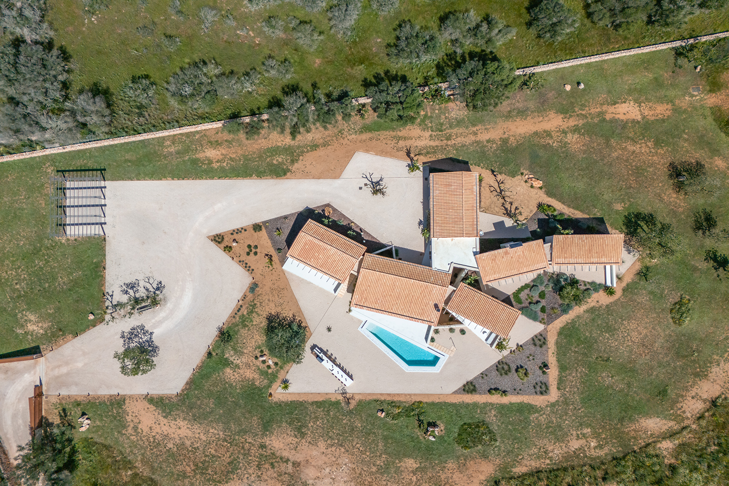 Bird view