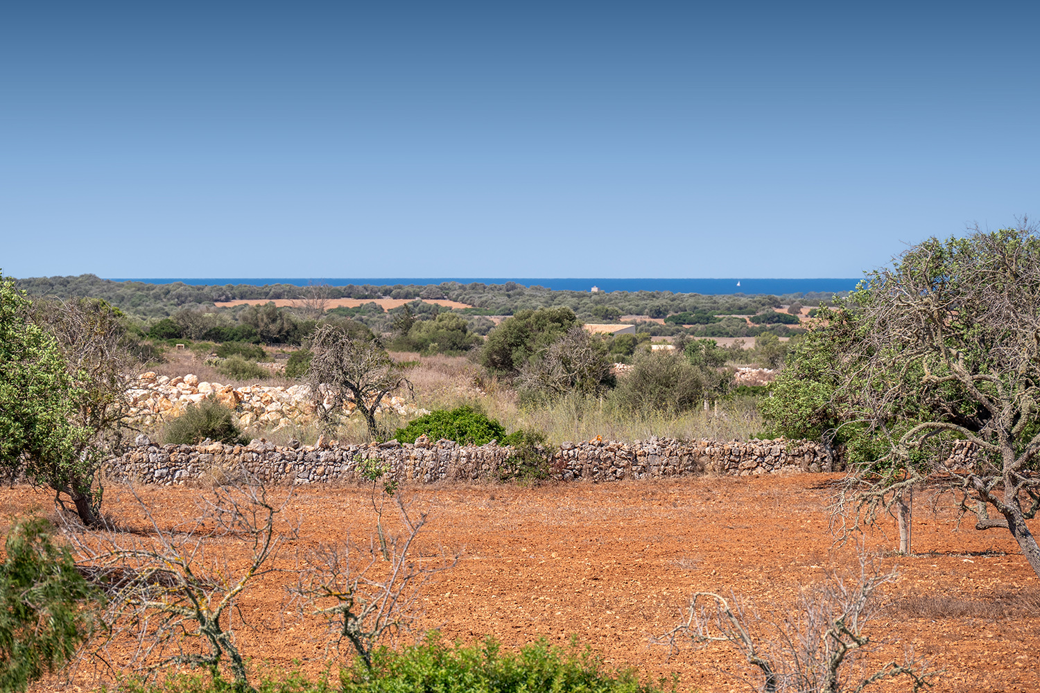 View to the sea