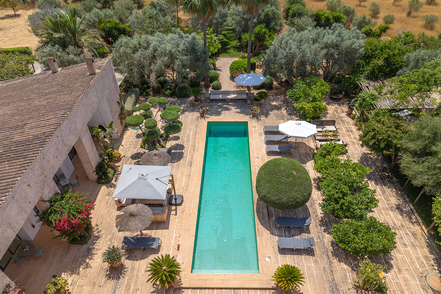 Finca with a large pool