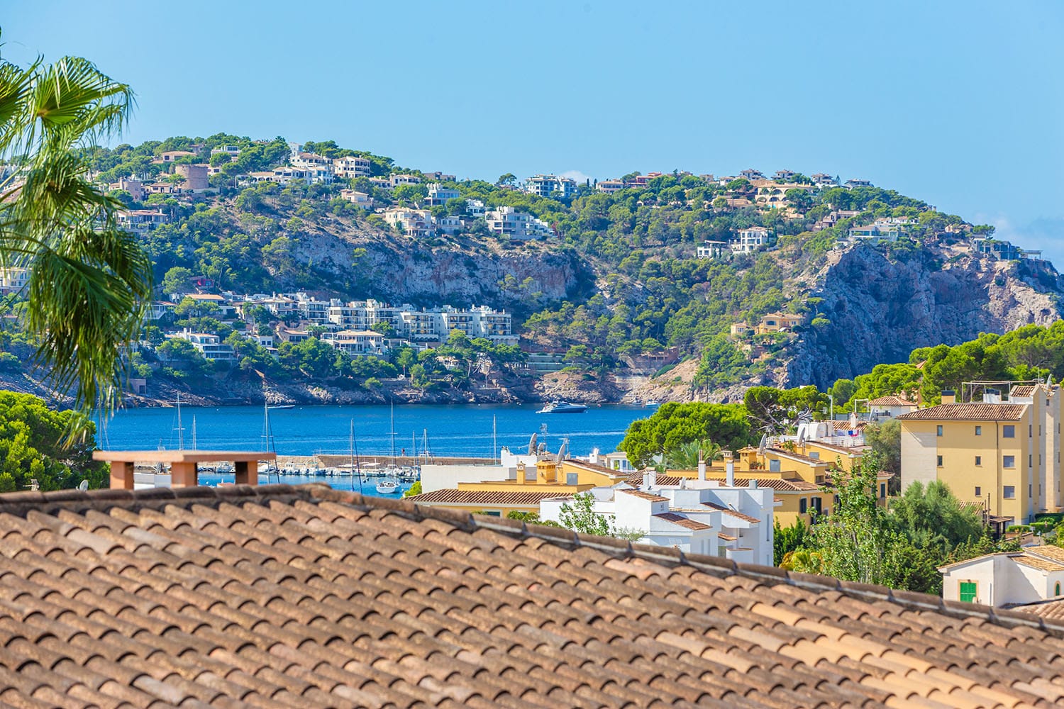 26994-villa-in-hafennaehe-port-andratx-mallorca-p