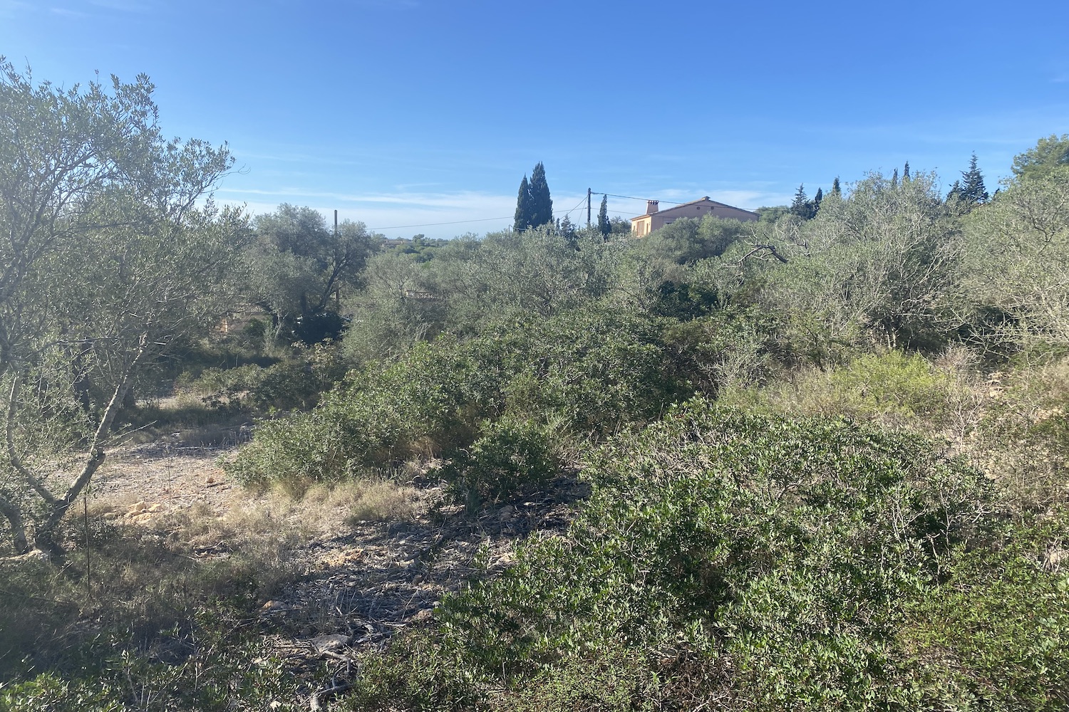 grundstueck-palma-sonoliver-baugenehmigung