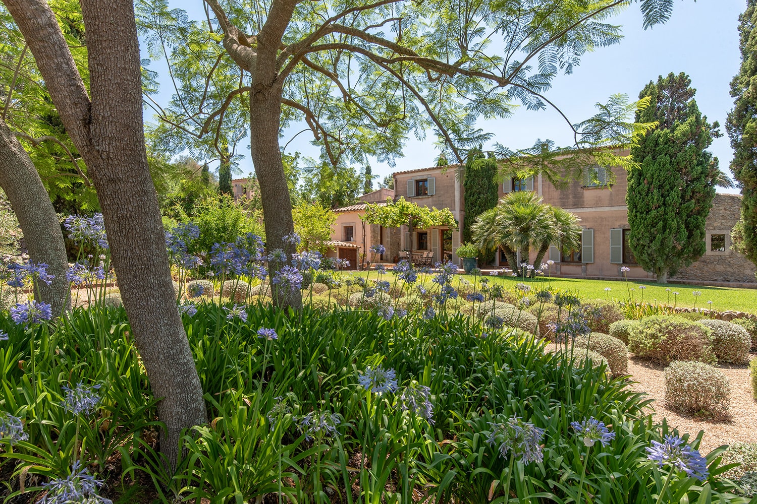 Mediterranean garden