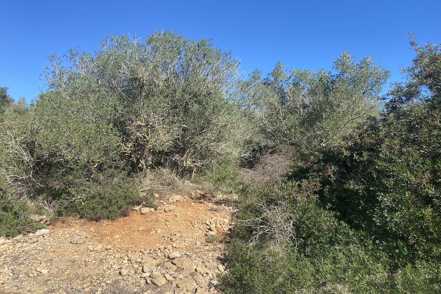 Plot with building permit