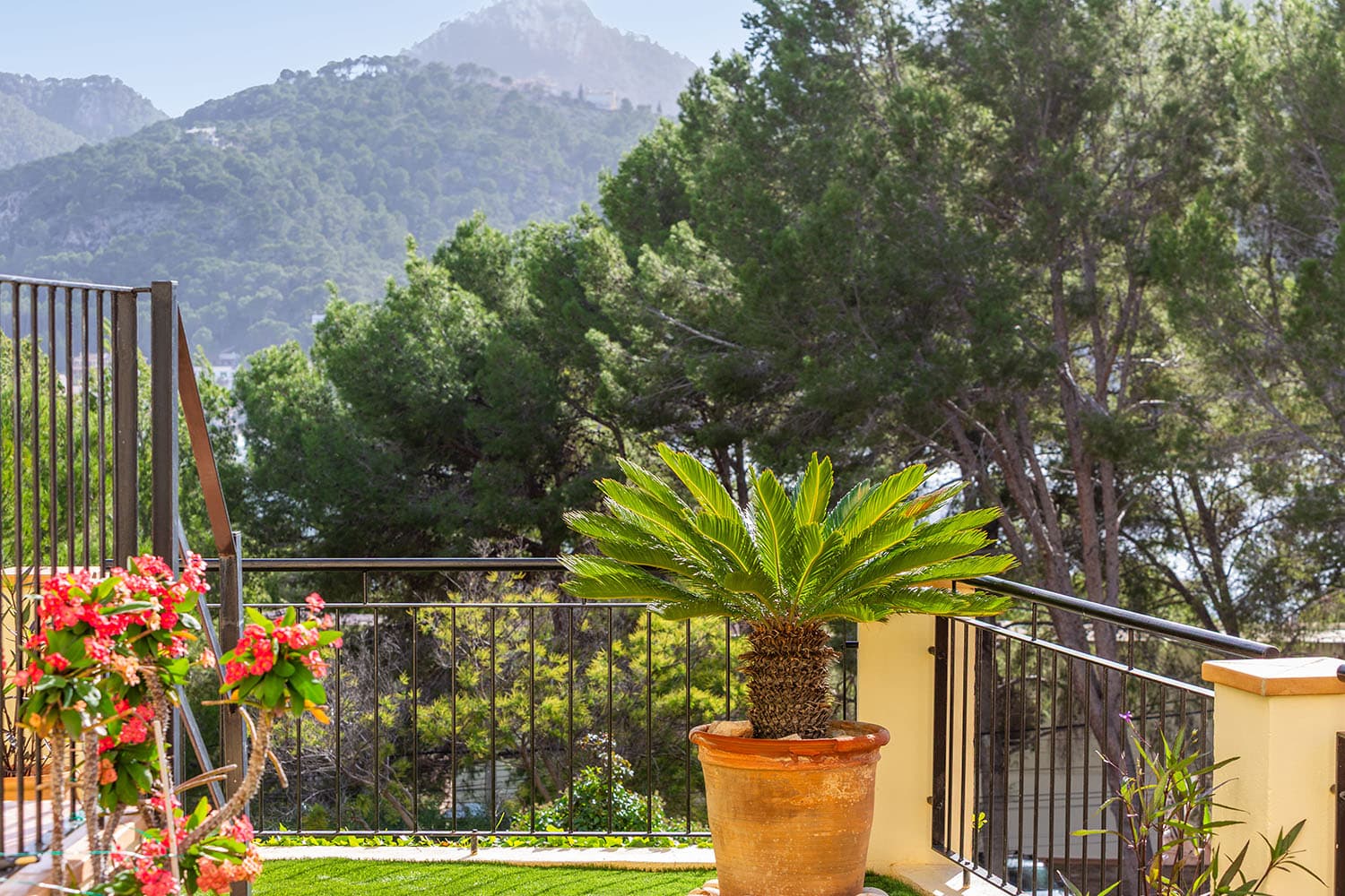 270044-mediterrane-wohnung-kauf-n