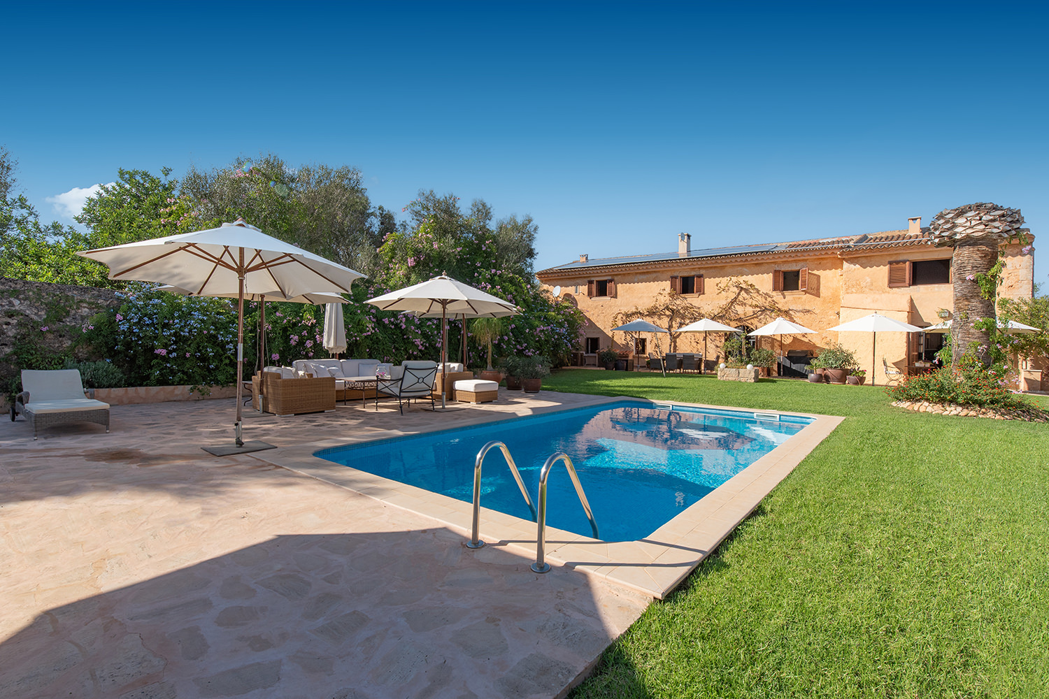 Pool with sun terrace