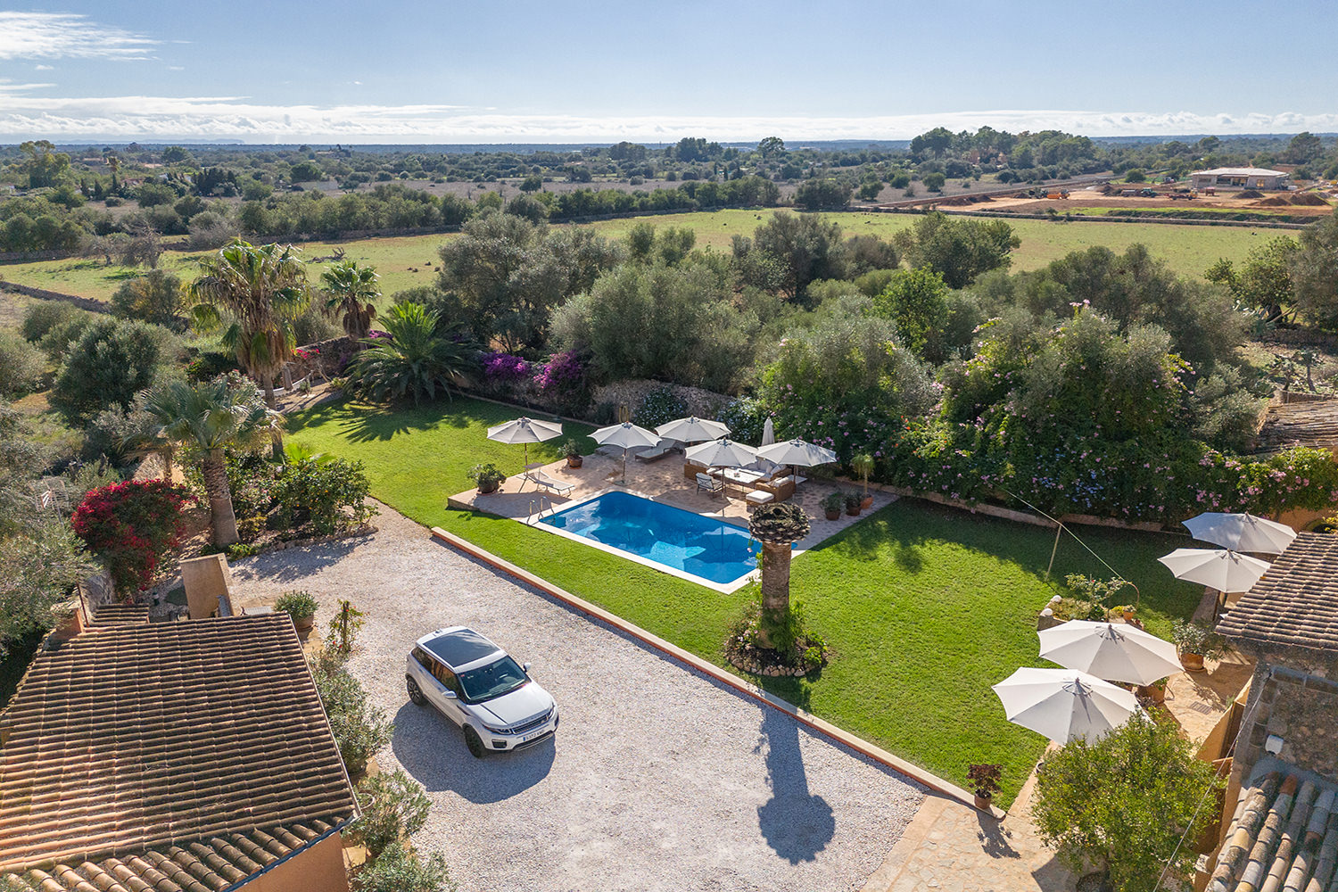 Mediterranean garden with privacy