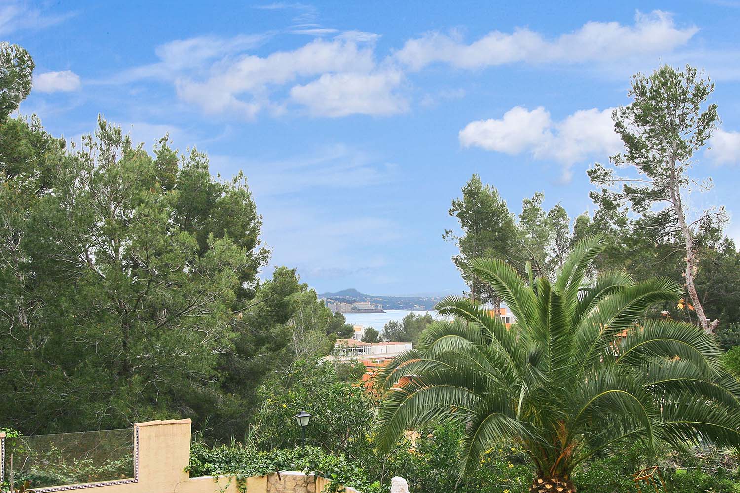 27138-bauland-paguera-a