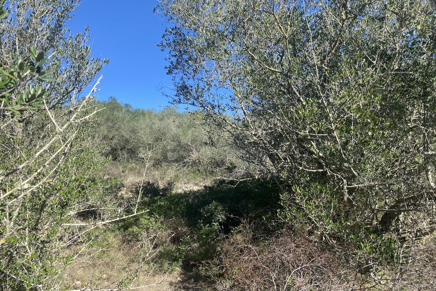 Plot with basic design project