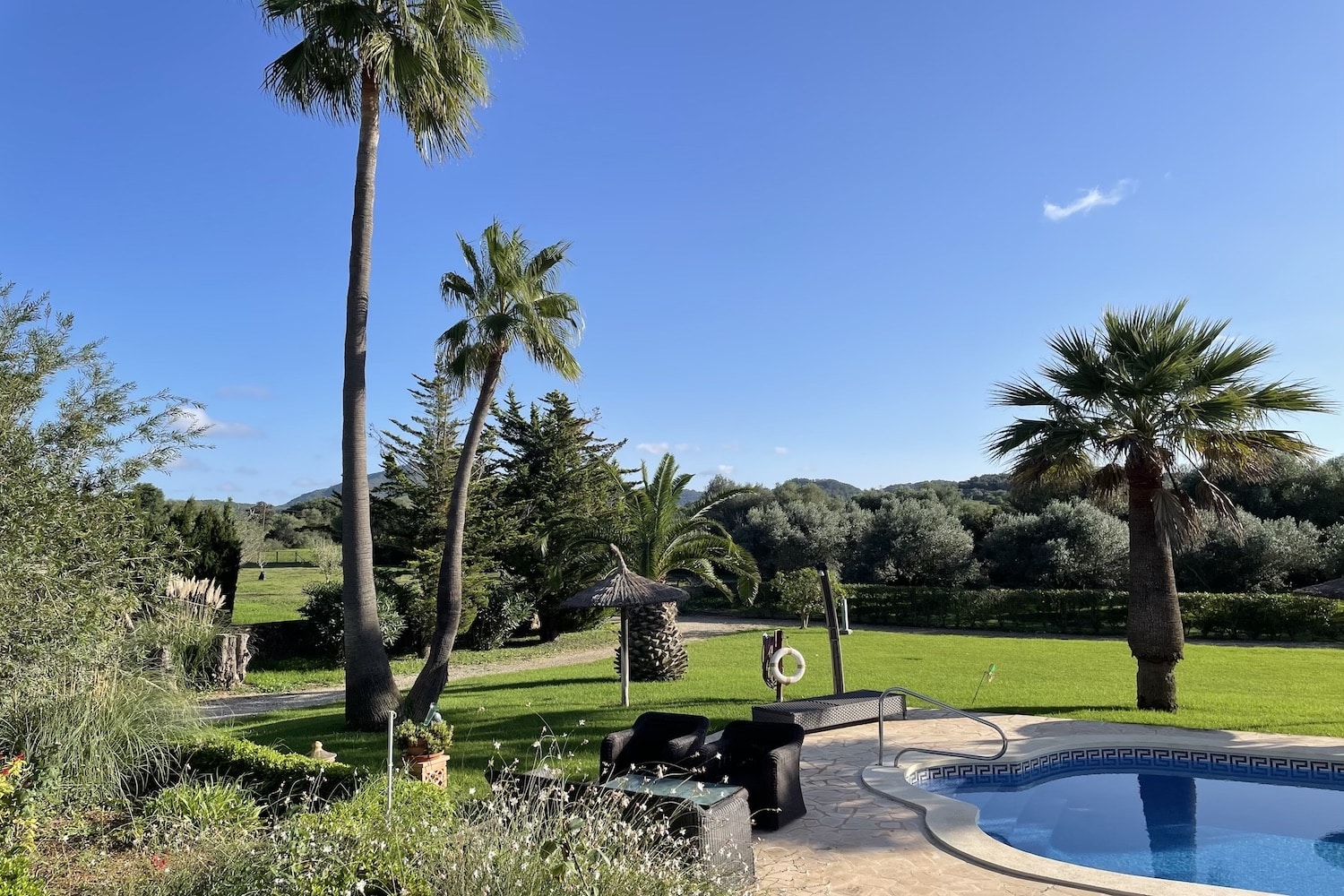 Beautifully landscaped garden