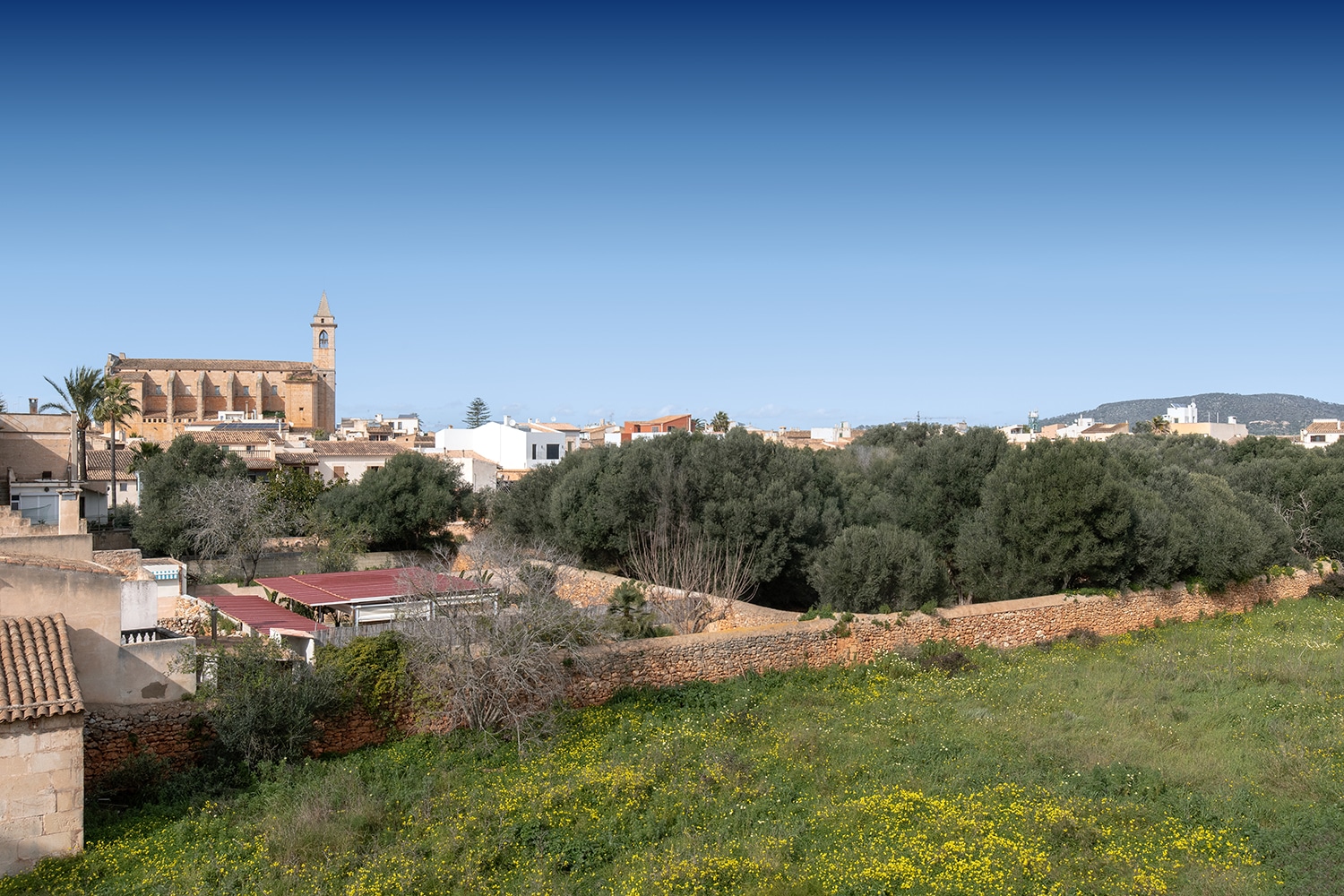 Open views across green surroundings and the historic village