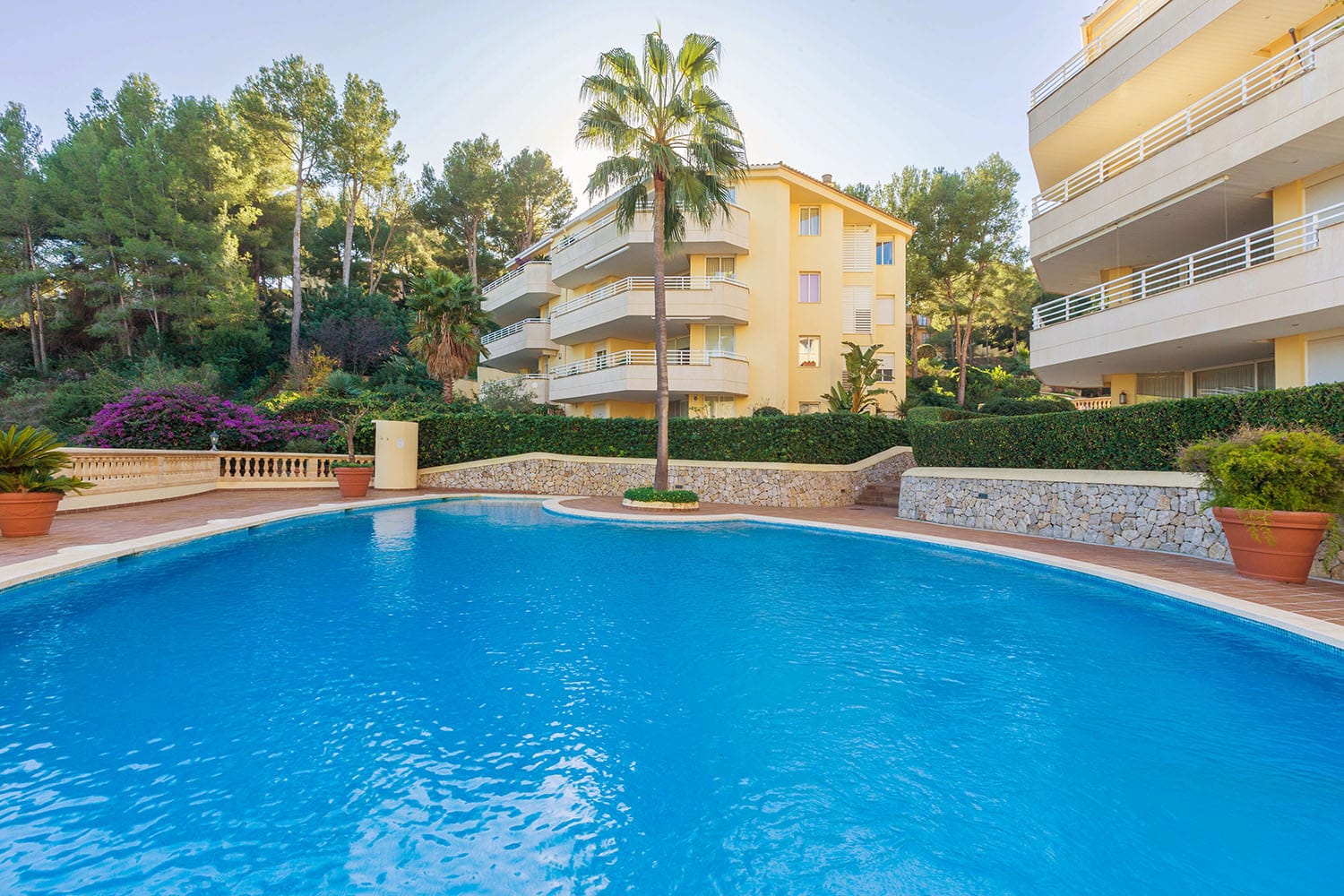 25785-penthaus-meerblick-kauf-bendinat-p