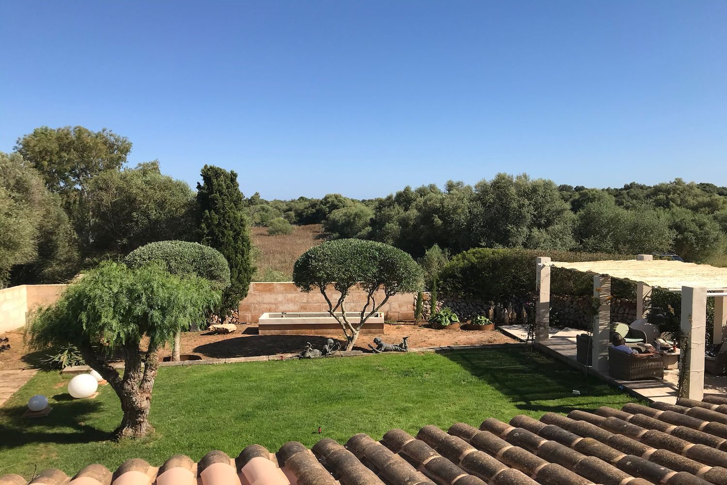 Mediterranean garden