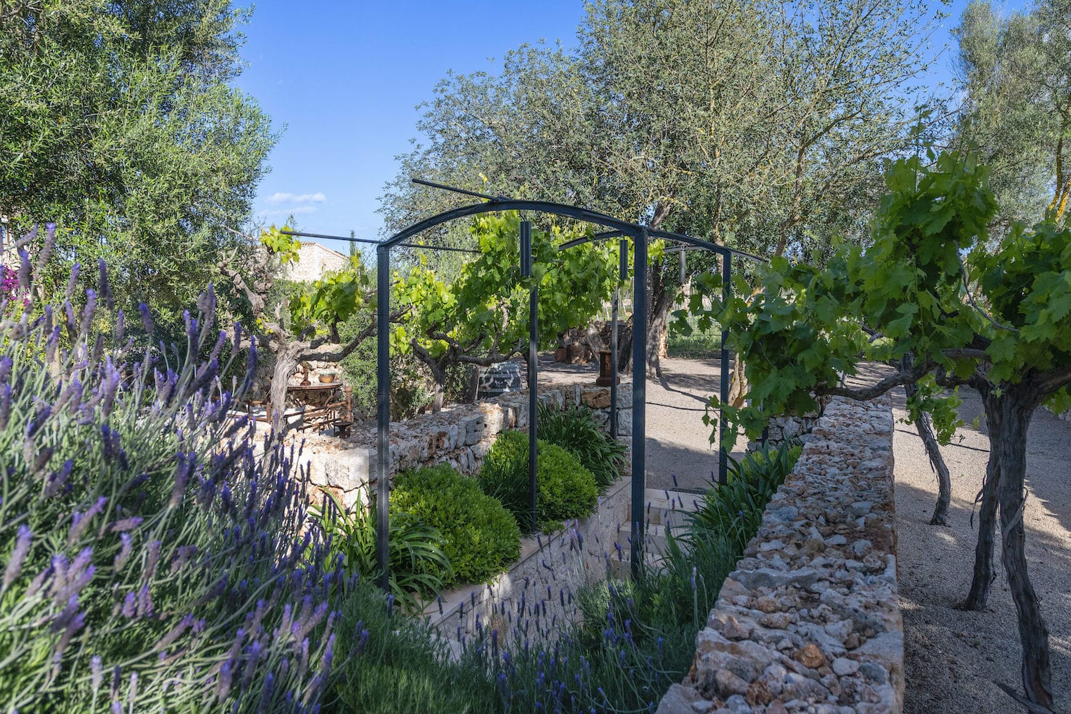 Access to the wine cellar