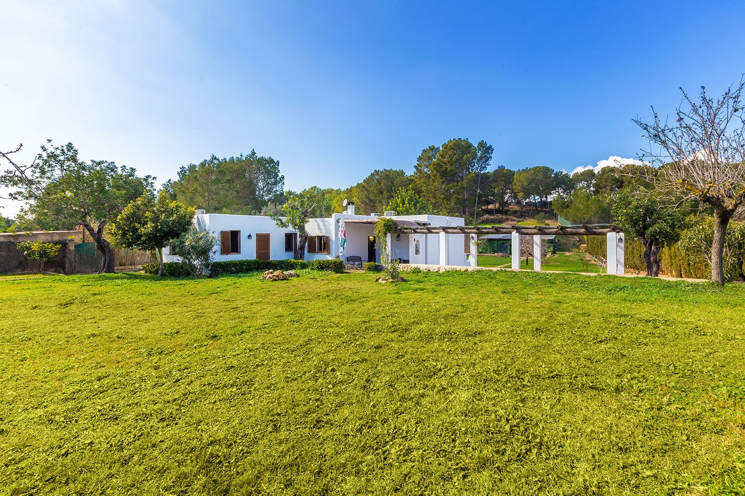 20638-finca-kauf-mallorca-calvia-a.jpg