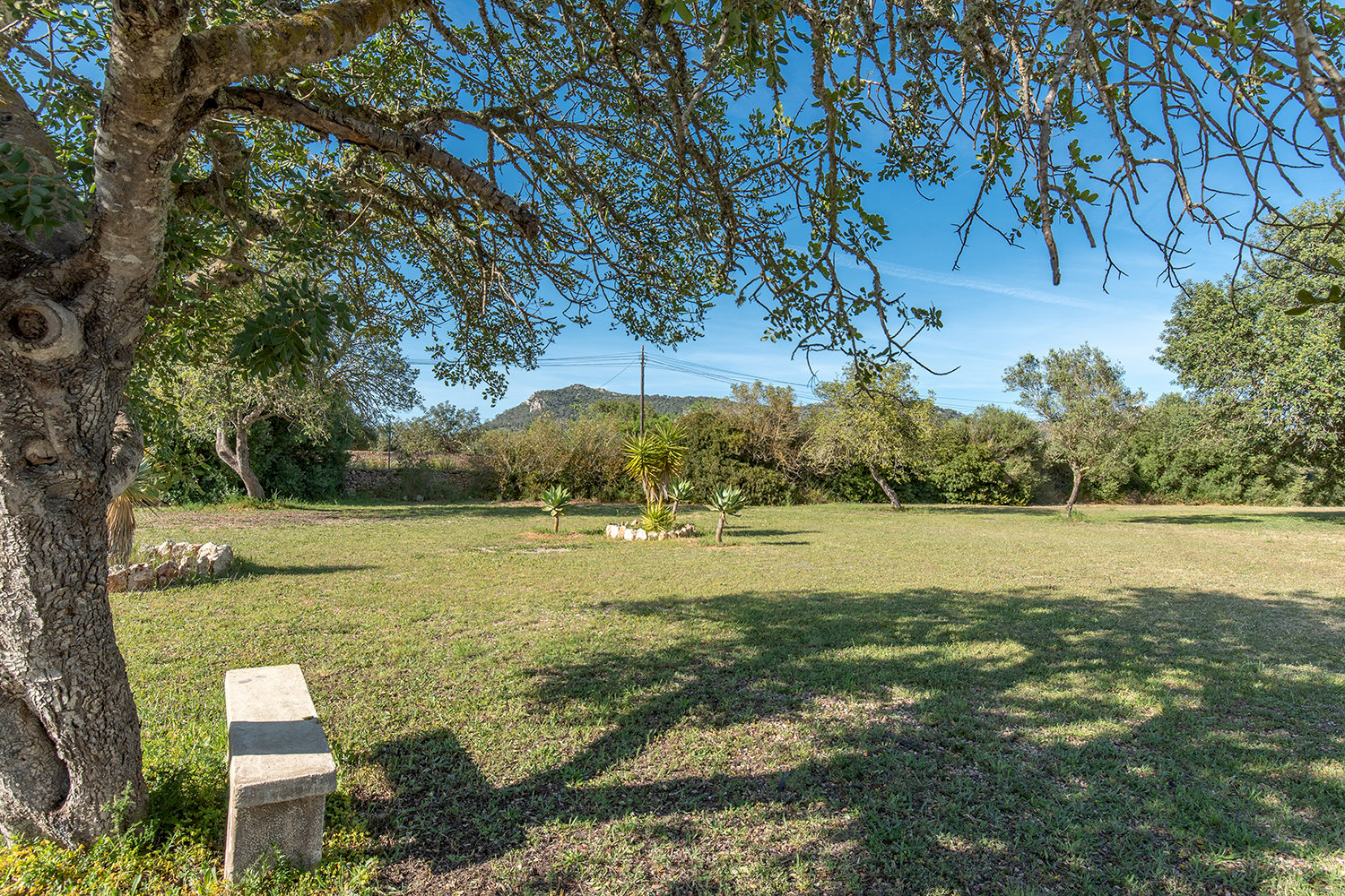 Spacious plot with open views and a sense of vastness