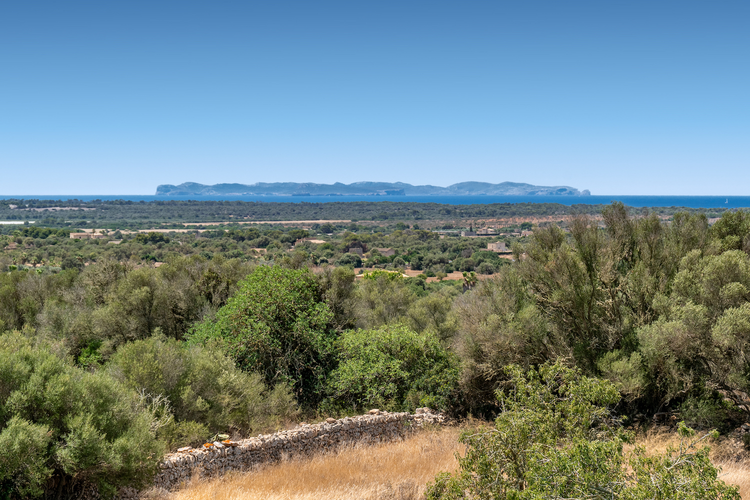 View to Cabrera