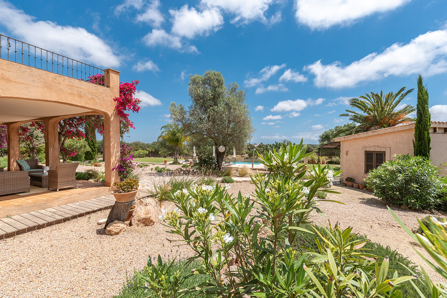 Beautiful landscaped garden