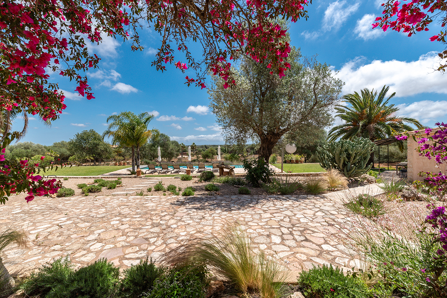 Mediterranean garden
