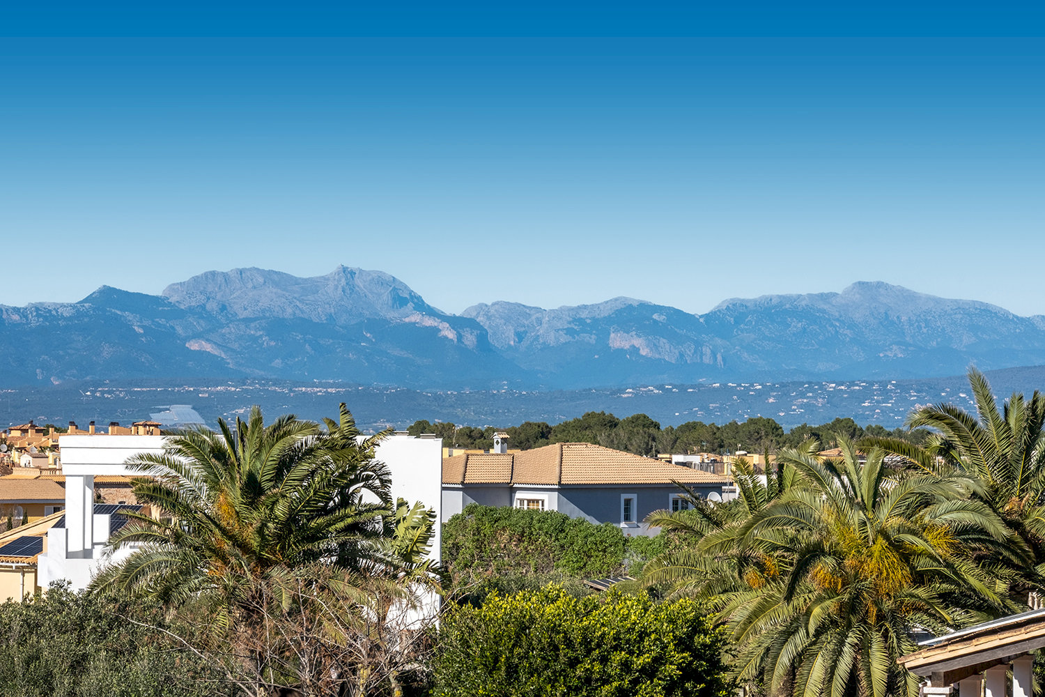 Sa TorreSea view luxury villa in Sa Torre – photo 21