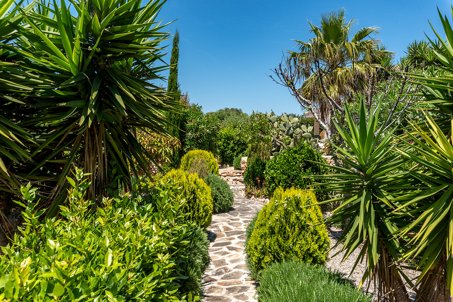 garden / building plot