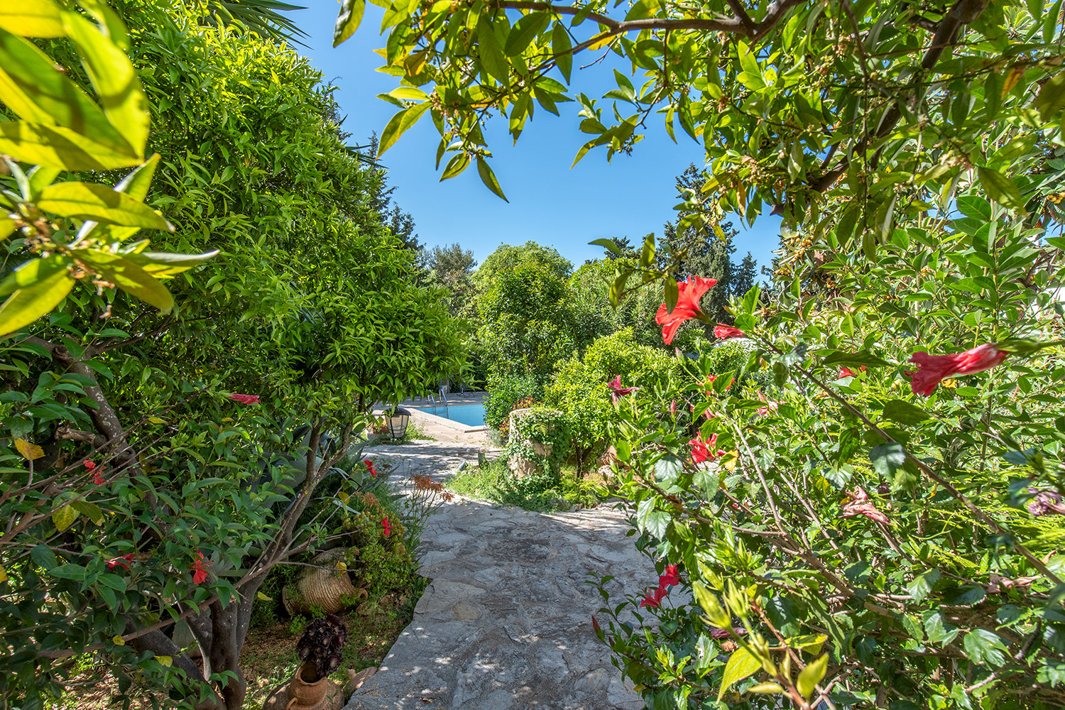 Idyllic access to the pool