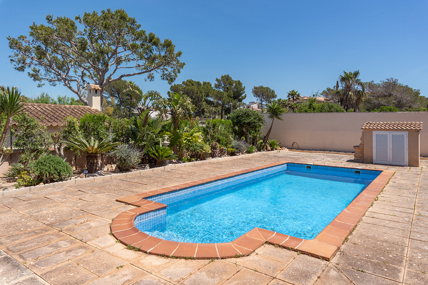 Large pool for summer days