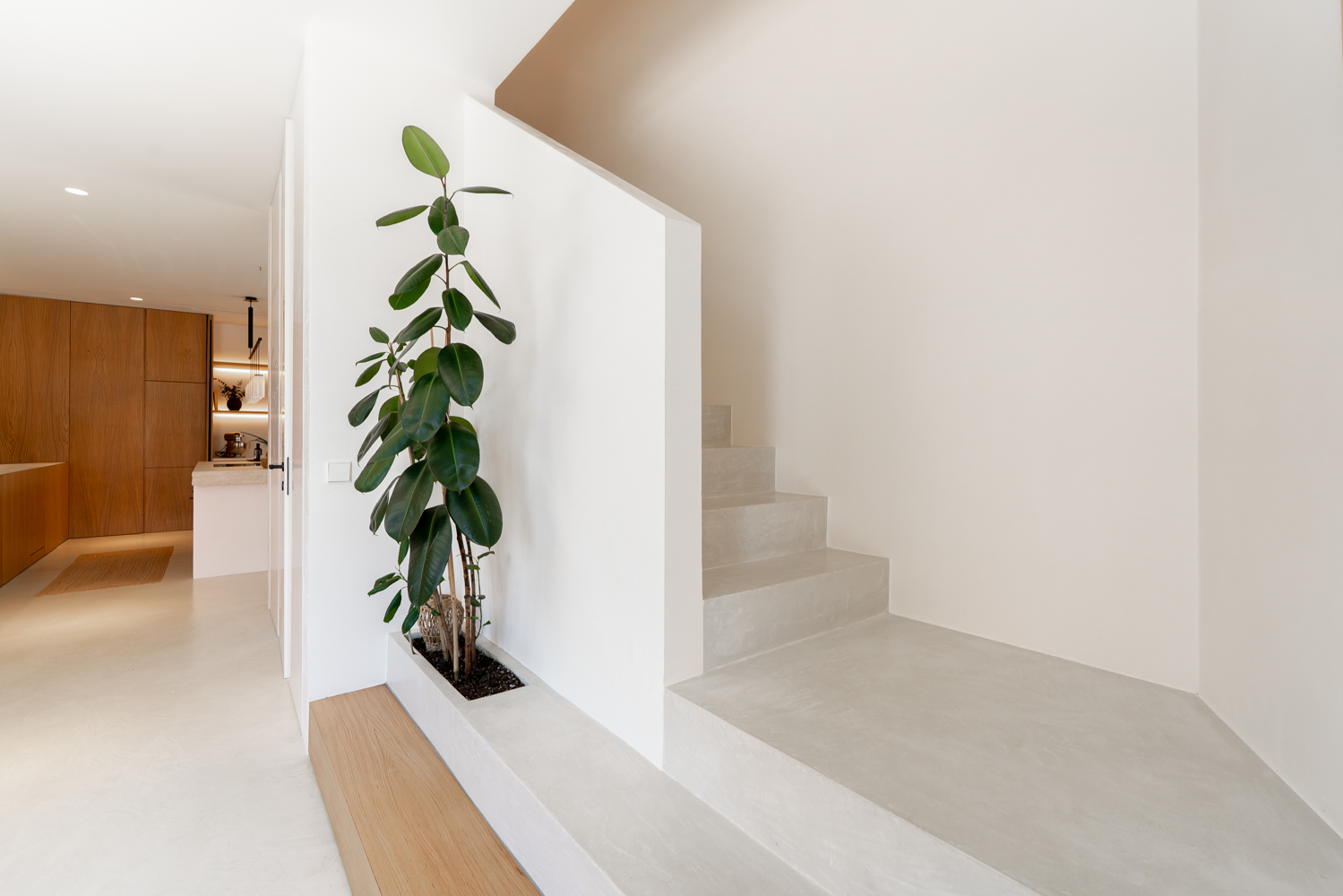 Entrance area