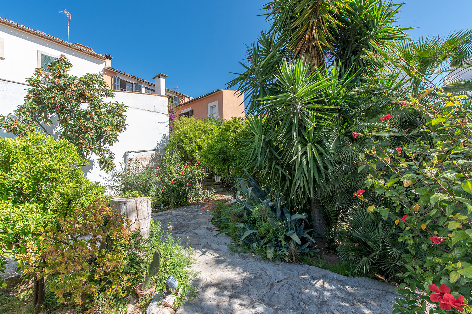 Mediterranean garden