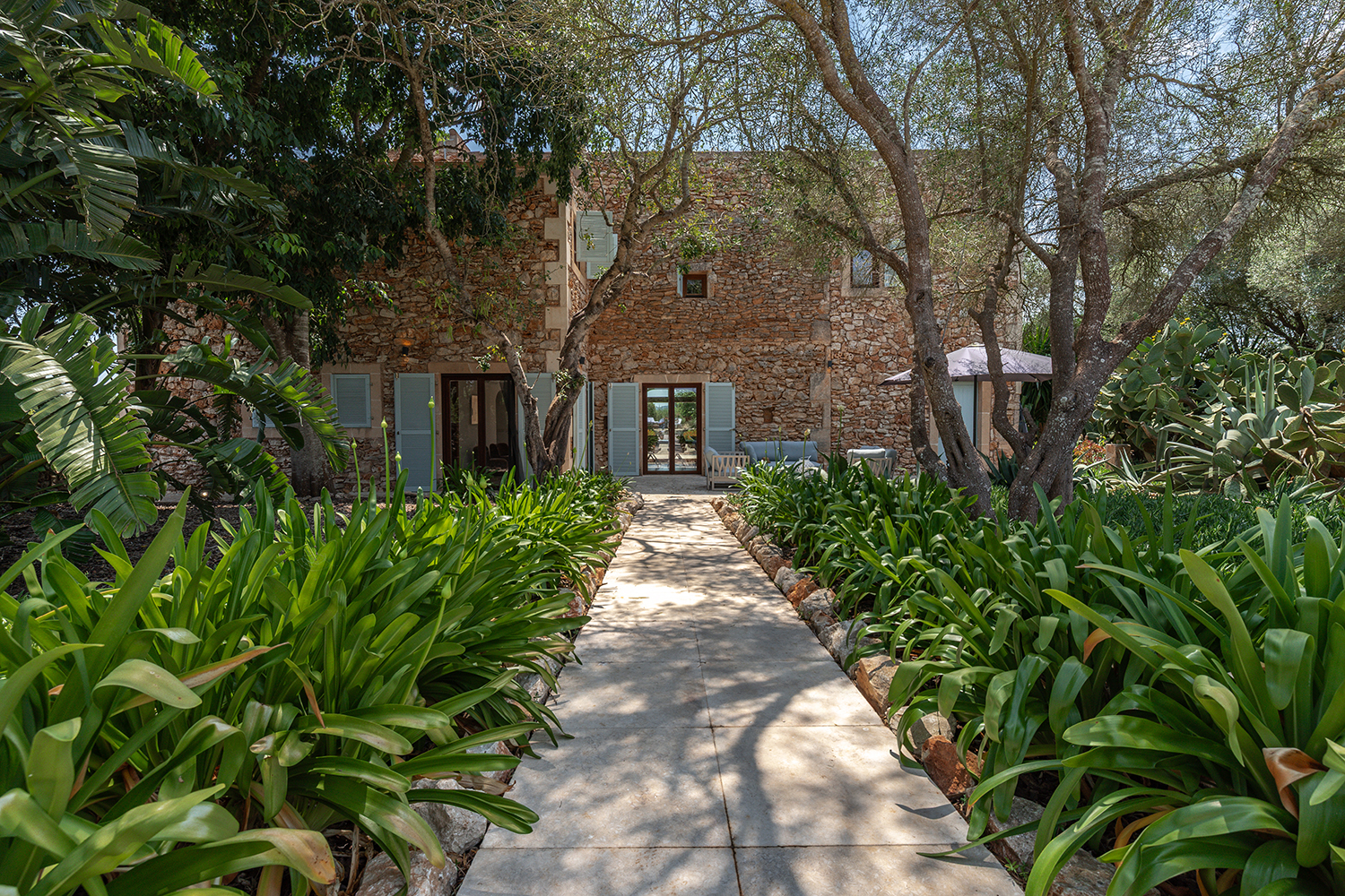Mature garden