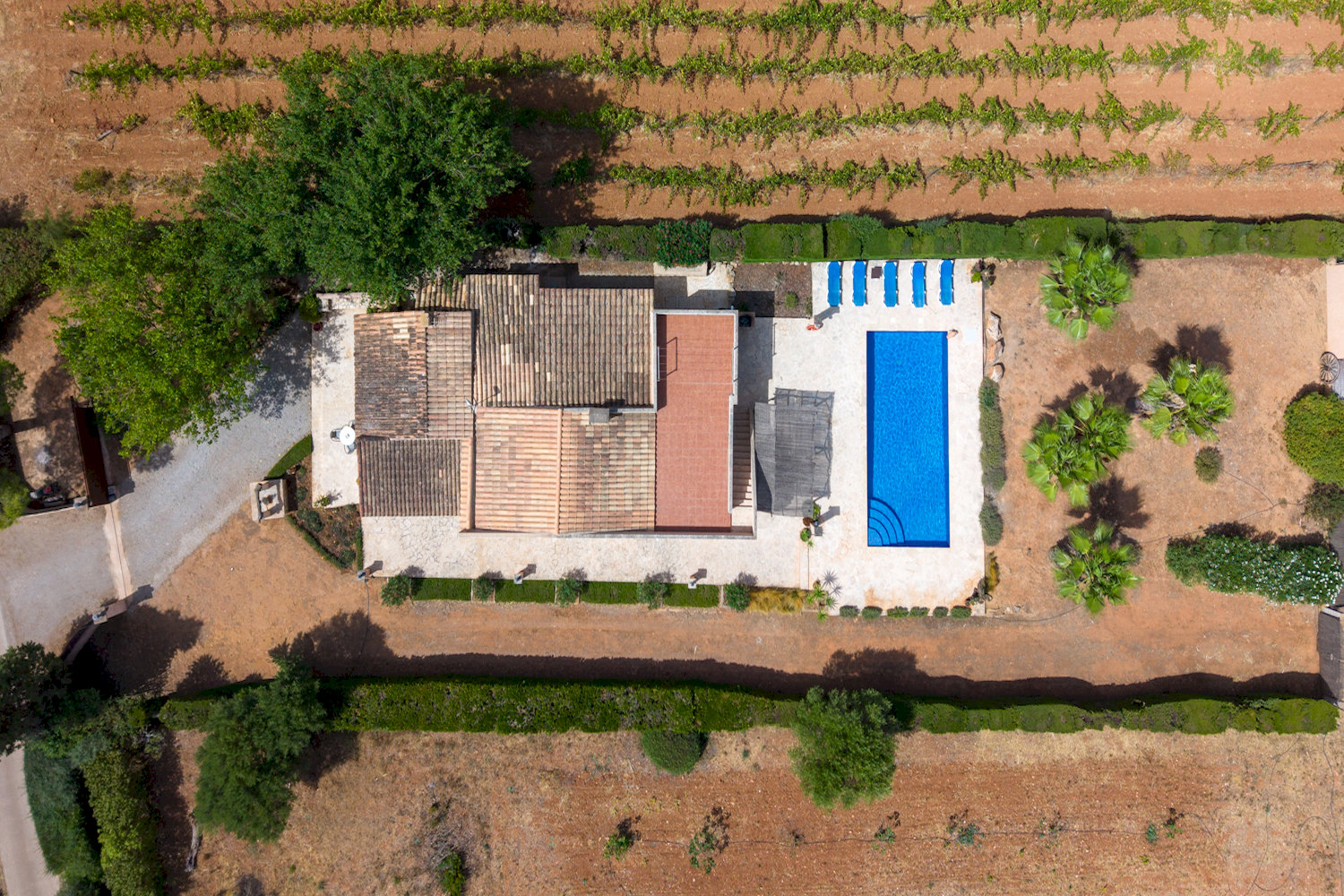 Aerial Overview of the Finca and Grounds