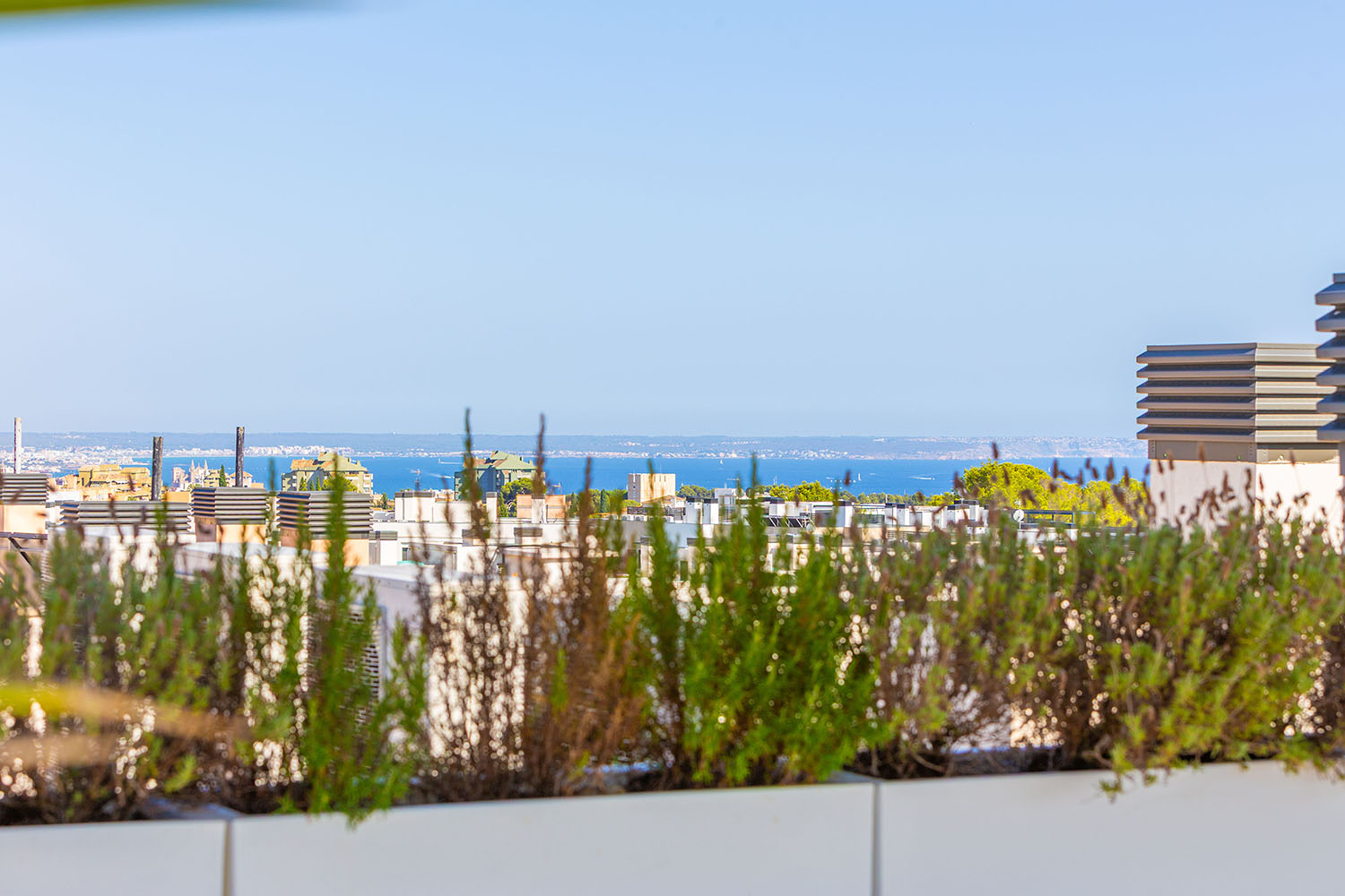 27599-penthaus-kauf-son-quint-mallorca-b