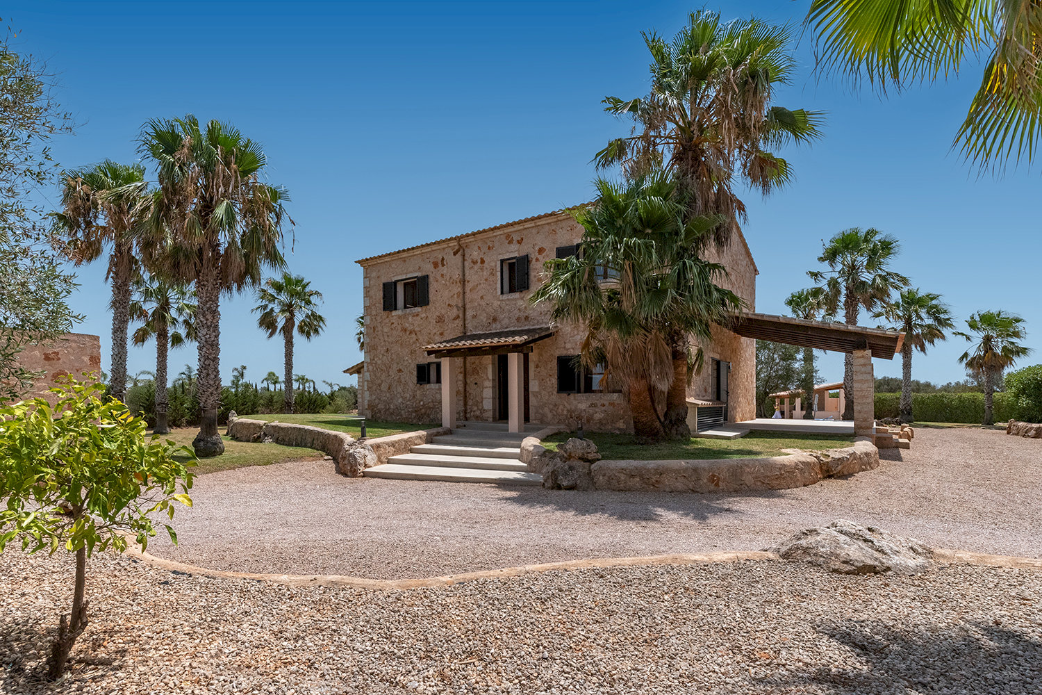 Finca