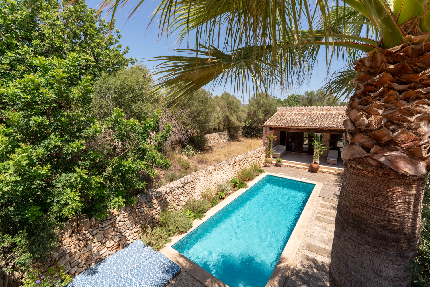 Garden with privacy