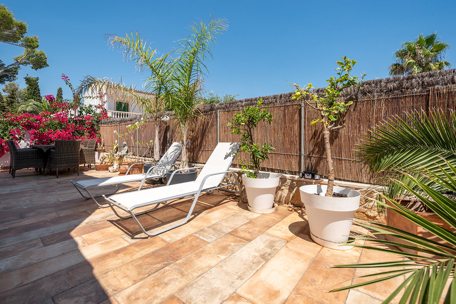 Sun terrace