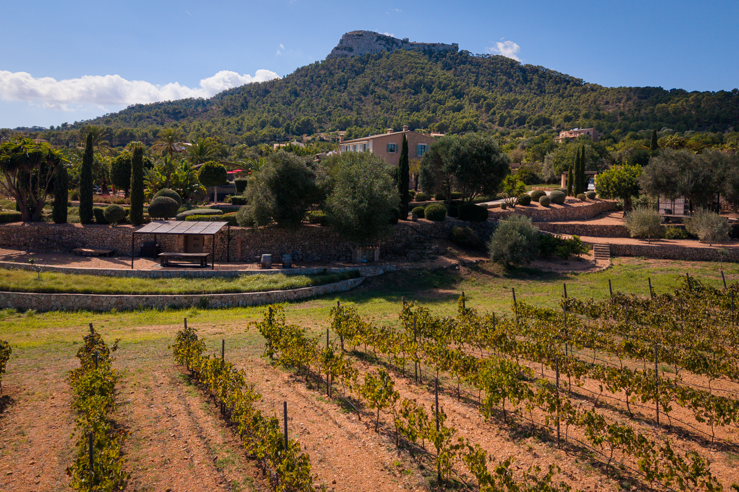Property with private vineyards