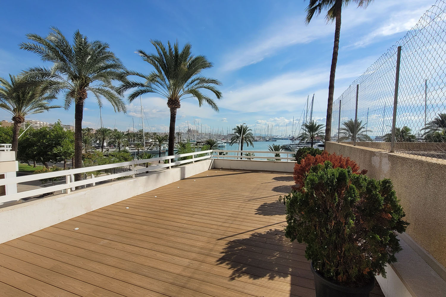 M27748-meerblick-wohnung-paseo-maritimo-palma-zu-vermietenc
